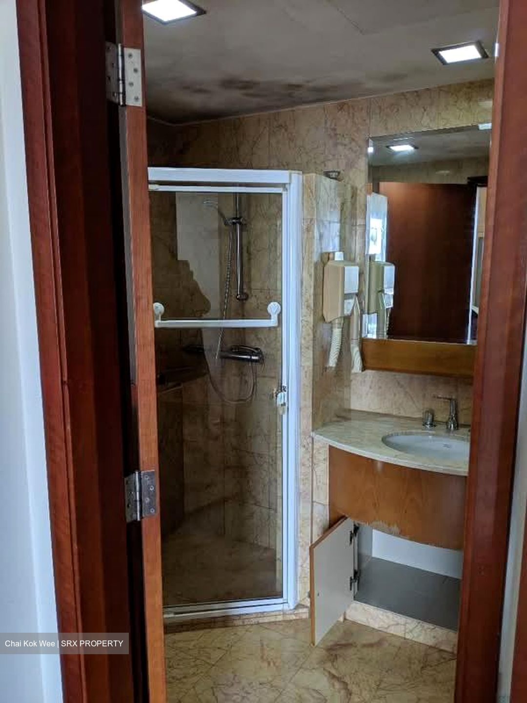 Rafflesia Condominium (D20), Condominium #569339781